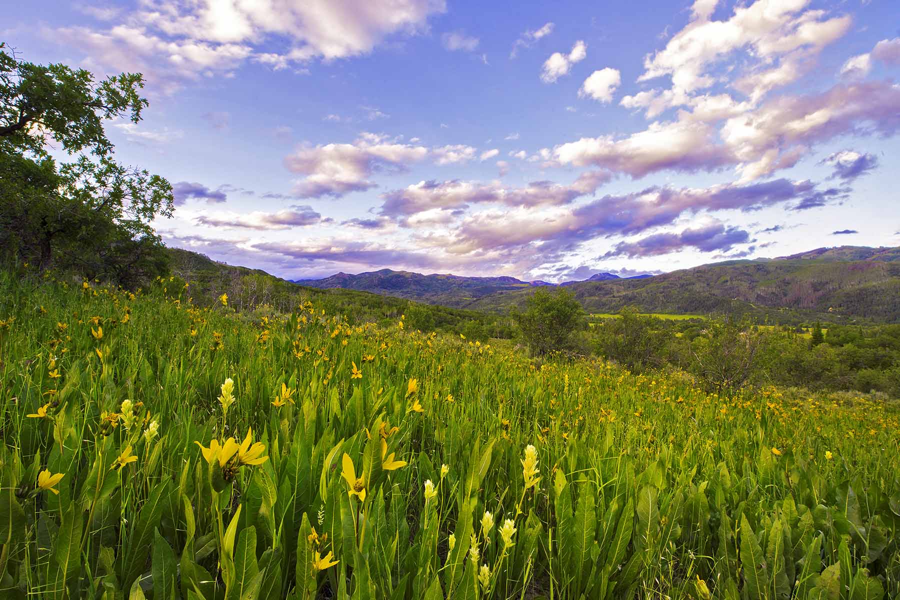 Strawberry Park Ranch property picture 47 of 68