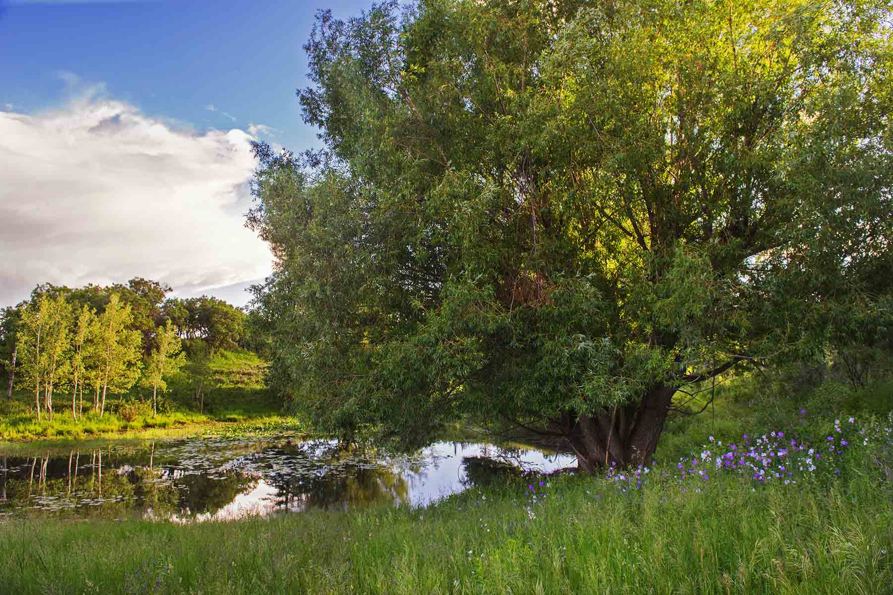 Strawberry Park Ranch property picture 38 of 68