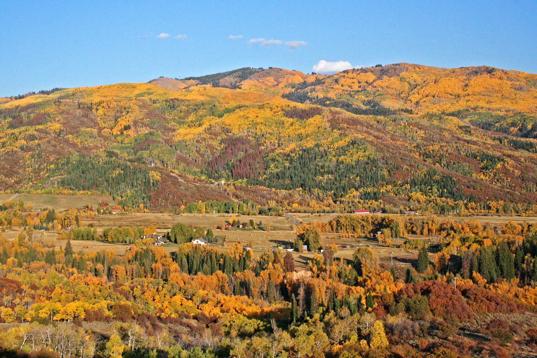 Strawberry Park Ranch property picture 27 of 68