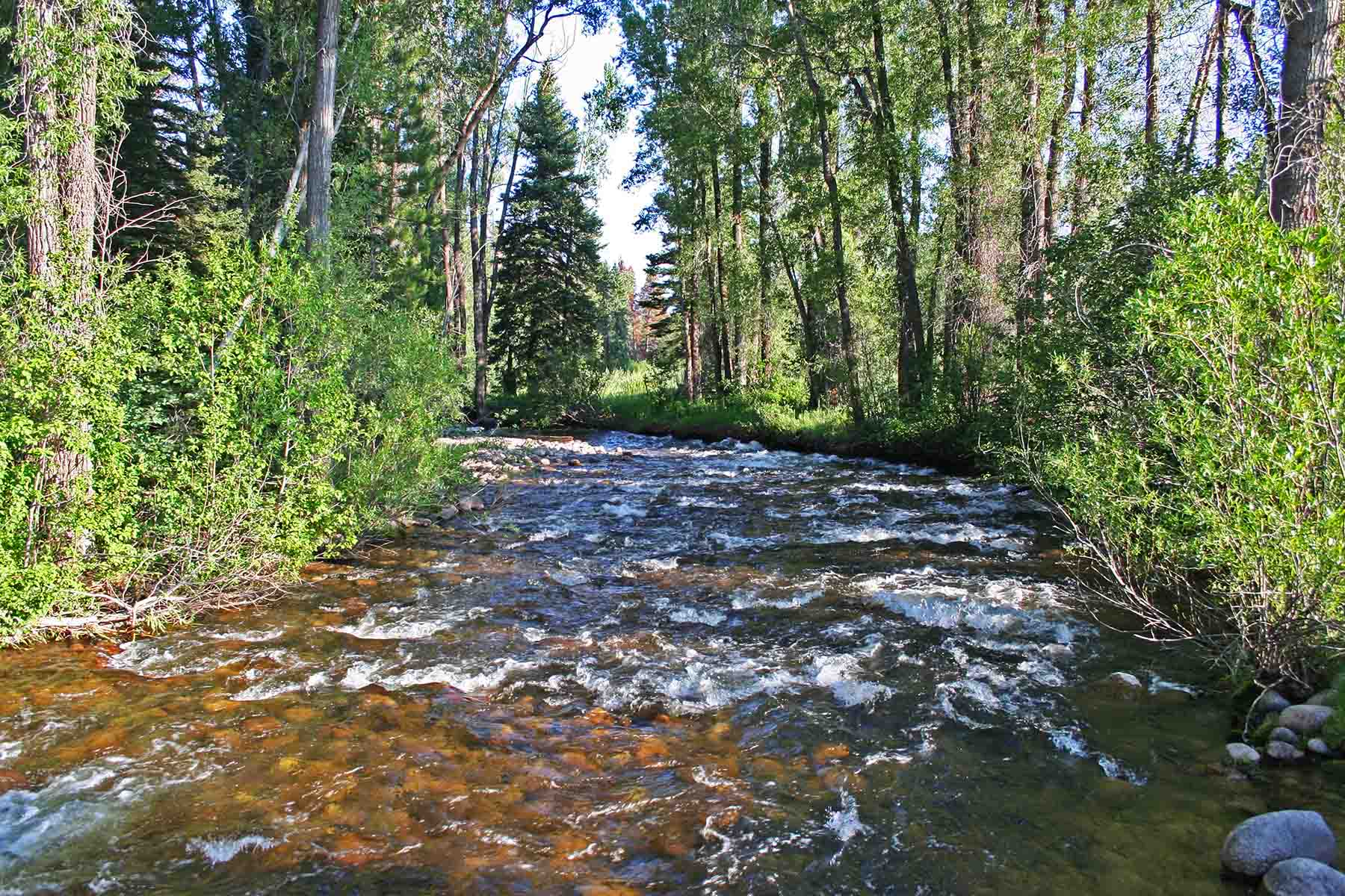 Strawberry Park Ranch property picture 2 of 68