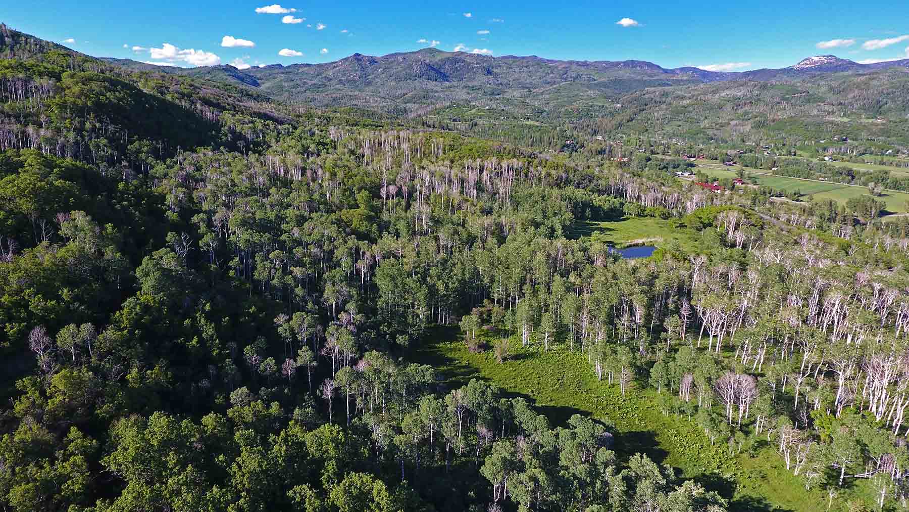 Strawberry Park Ranch property picture 54 of 68