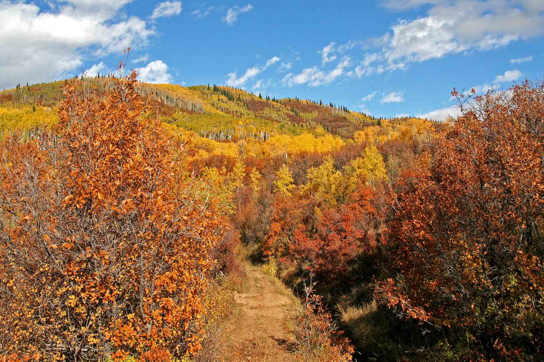 Strawberry Park Ranch property picture 48 of 68