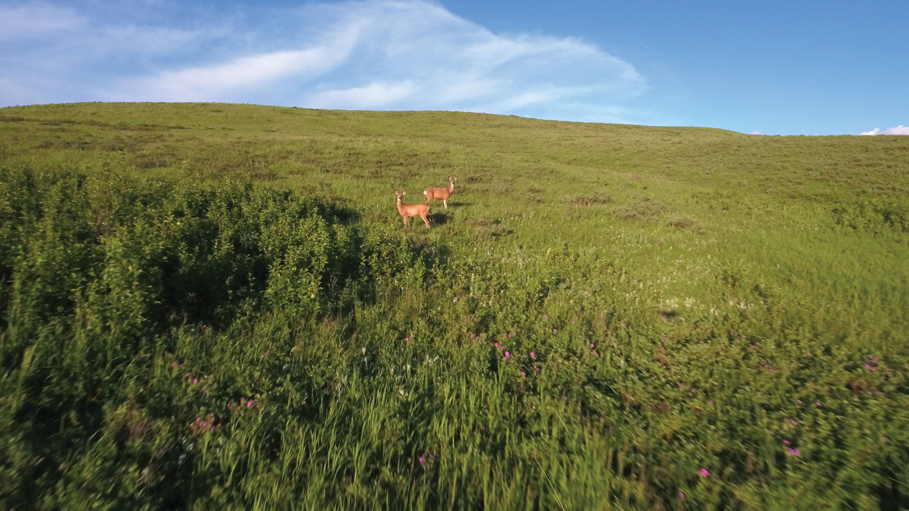 Aspen Bend Ranch property picture 31 of 48