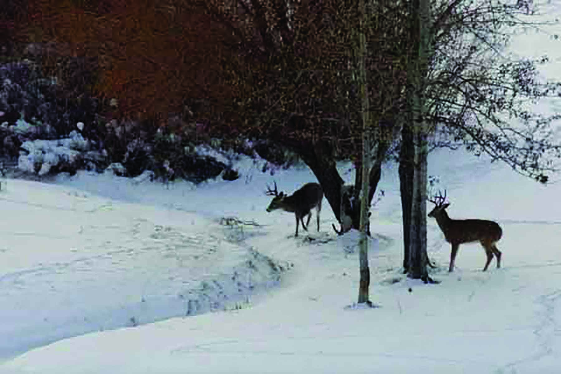 Aspen Bend Ranch property picture 45 of 48