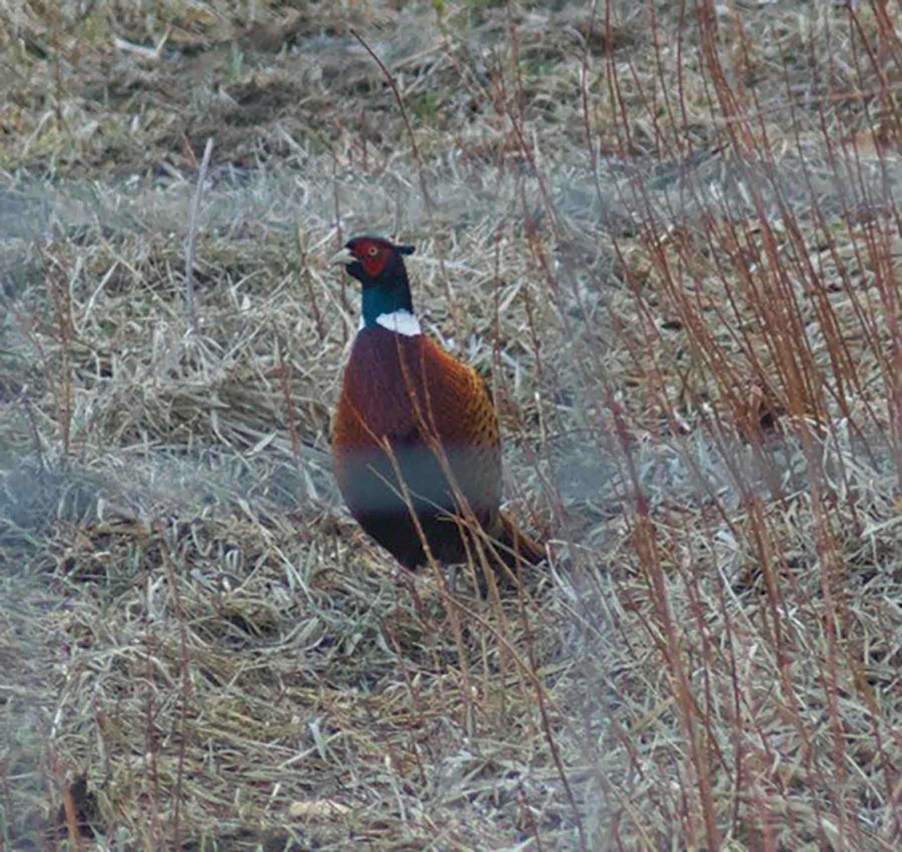Aspen Bend Ranch property picture 47 of 48