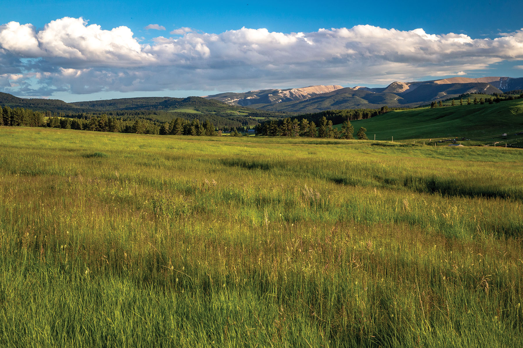 Aspen Bend Ranch property picture 2 of 48