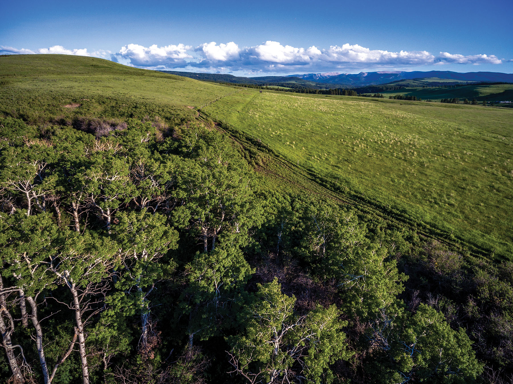 Aspen Bend Ranch property picture 37 of 48