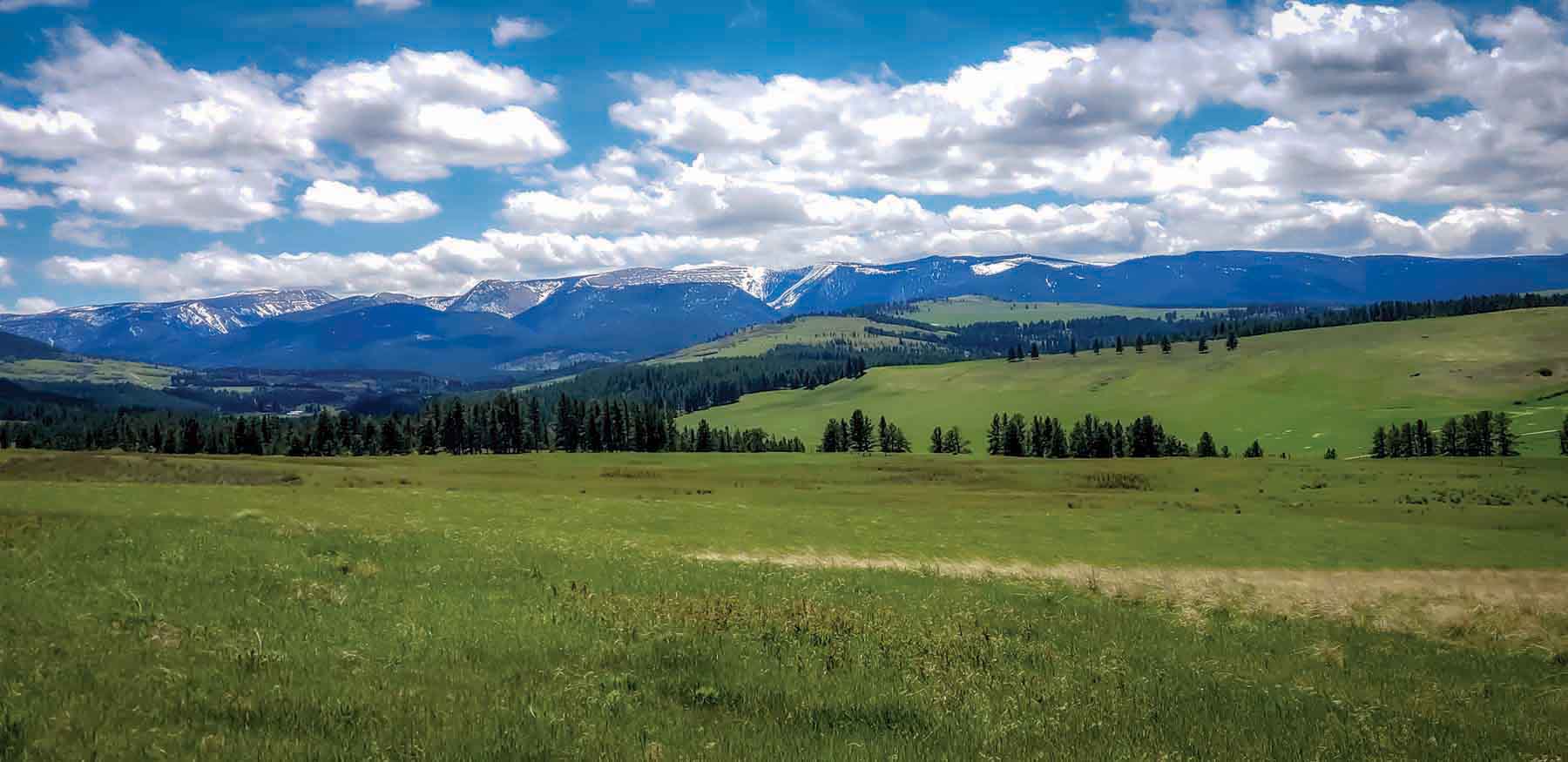 Aspen Bend Ranch property picture 38 of 48
