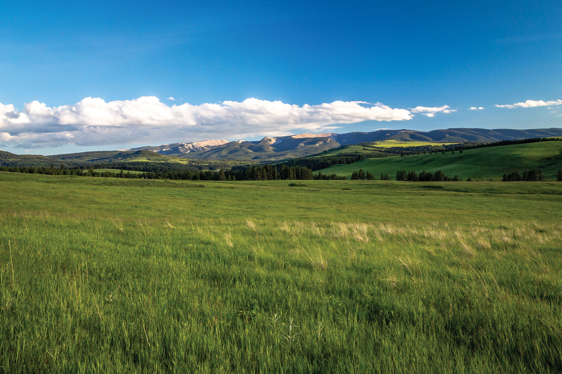 Aspen Bend Ranch property picture 7 of 48