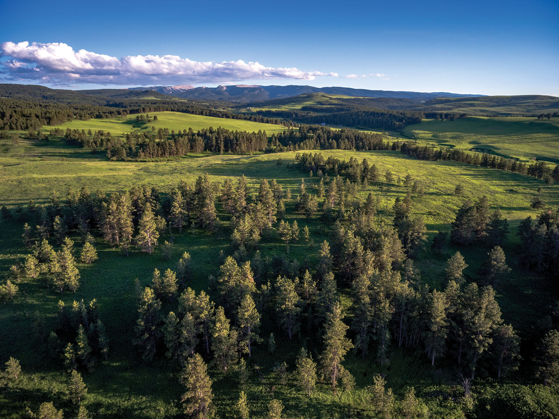 Aspen Bend Ranch property picture 39 of 48