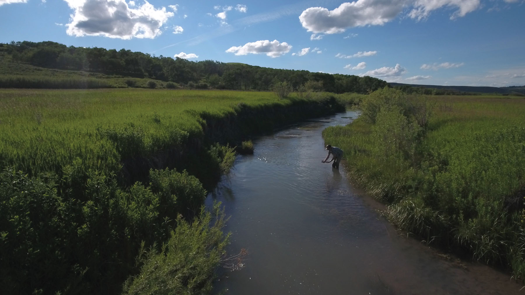 Aspen Bend Ranch property picture 42 of 48
