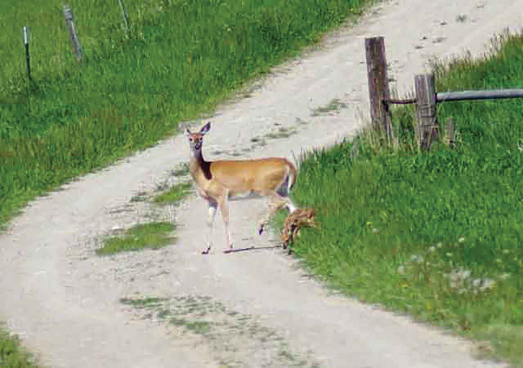Aspen Bend Ranch property picture 48 of 48
