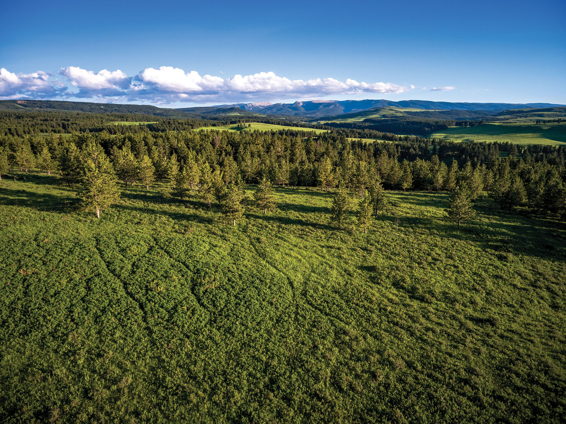 Aspen Bend Ranch property picture 34 of 48