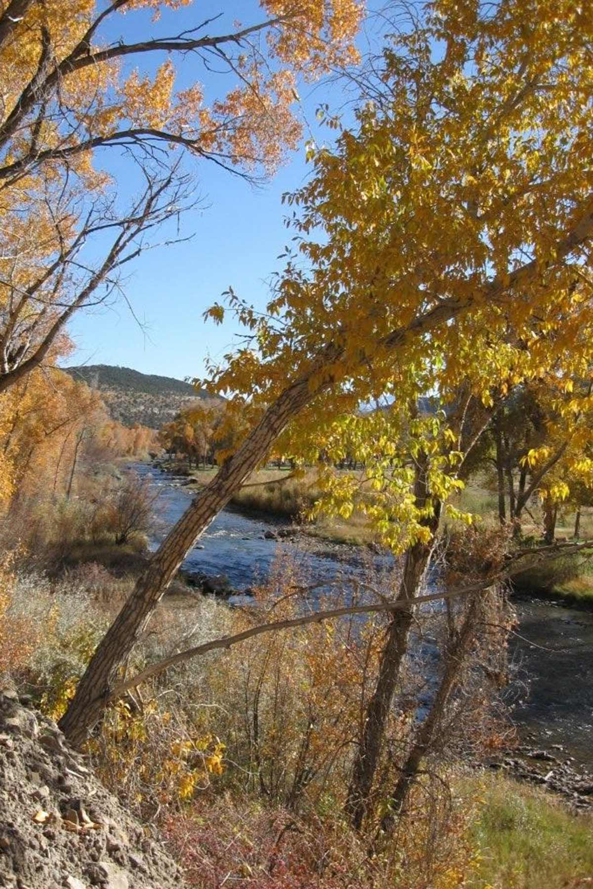 Centennial Ranch property picture 92 of 147