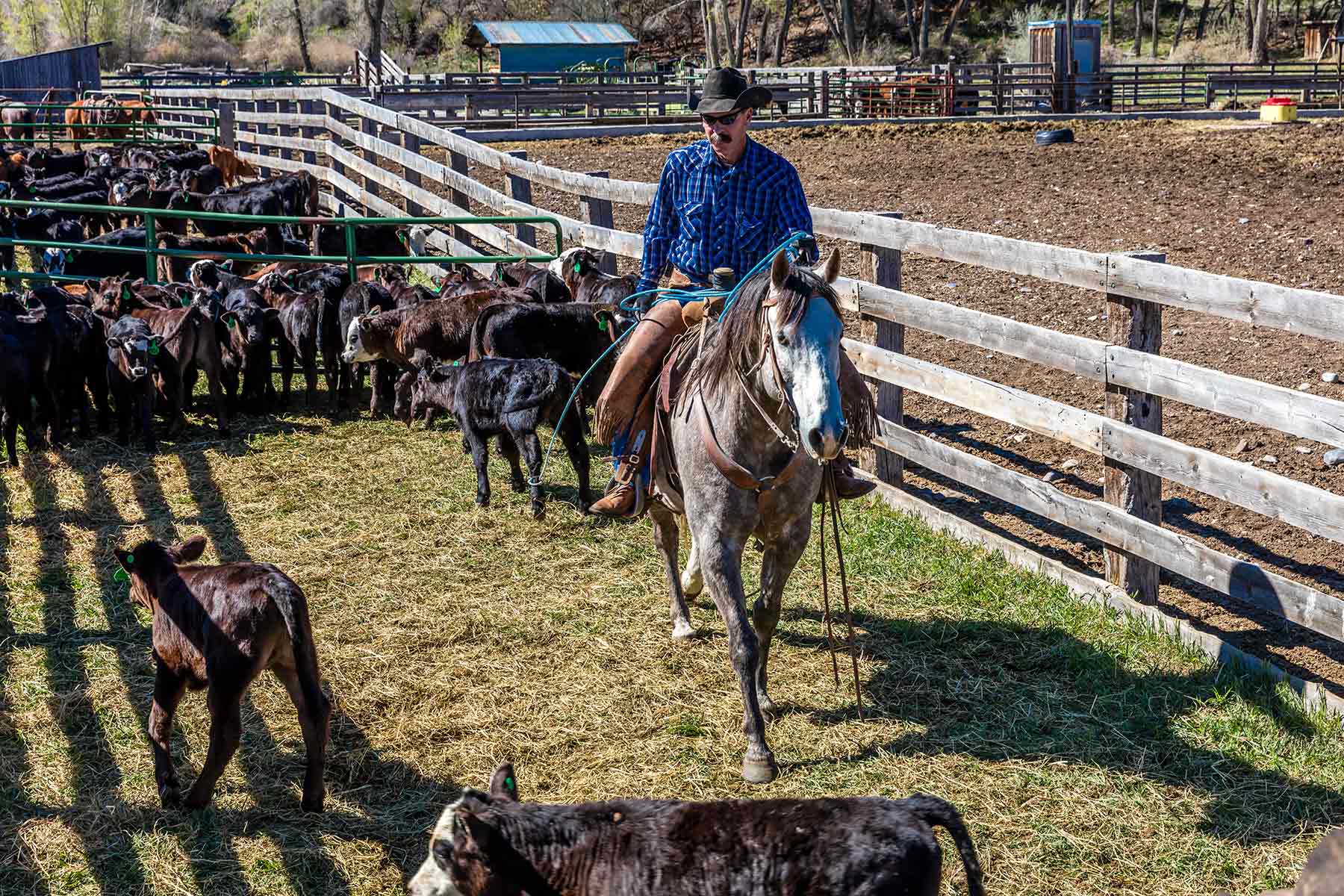 Centennial Ranch property picture 59 of 147