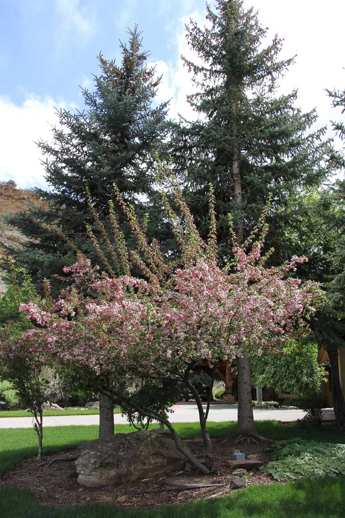 Centennial Ranch property picture 139 of 147