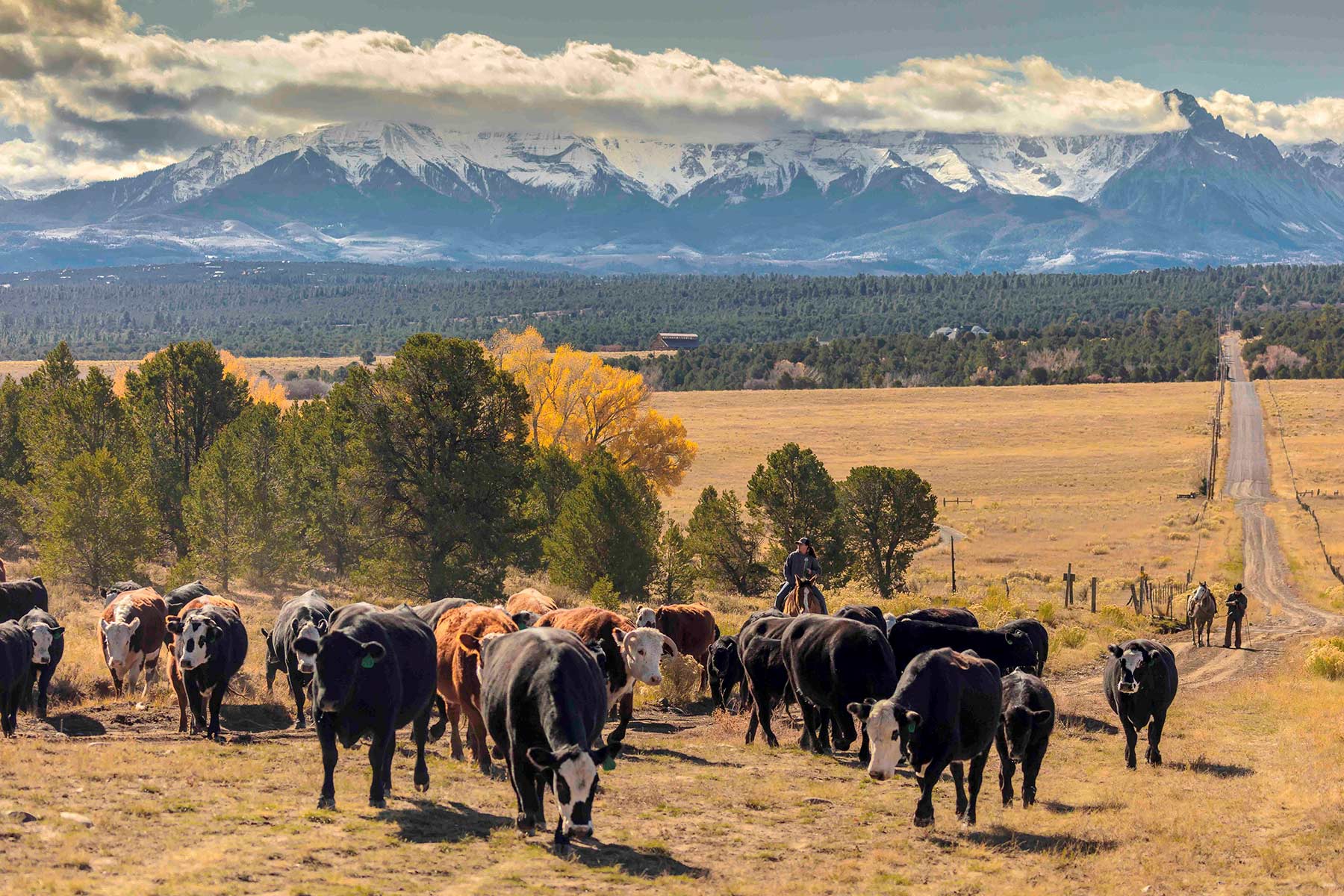 Centennial Ranch property picture 136 of 147
