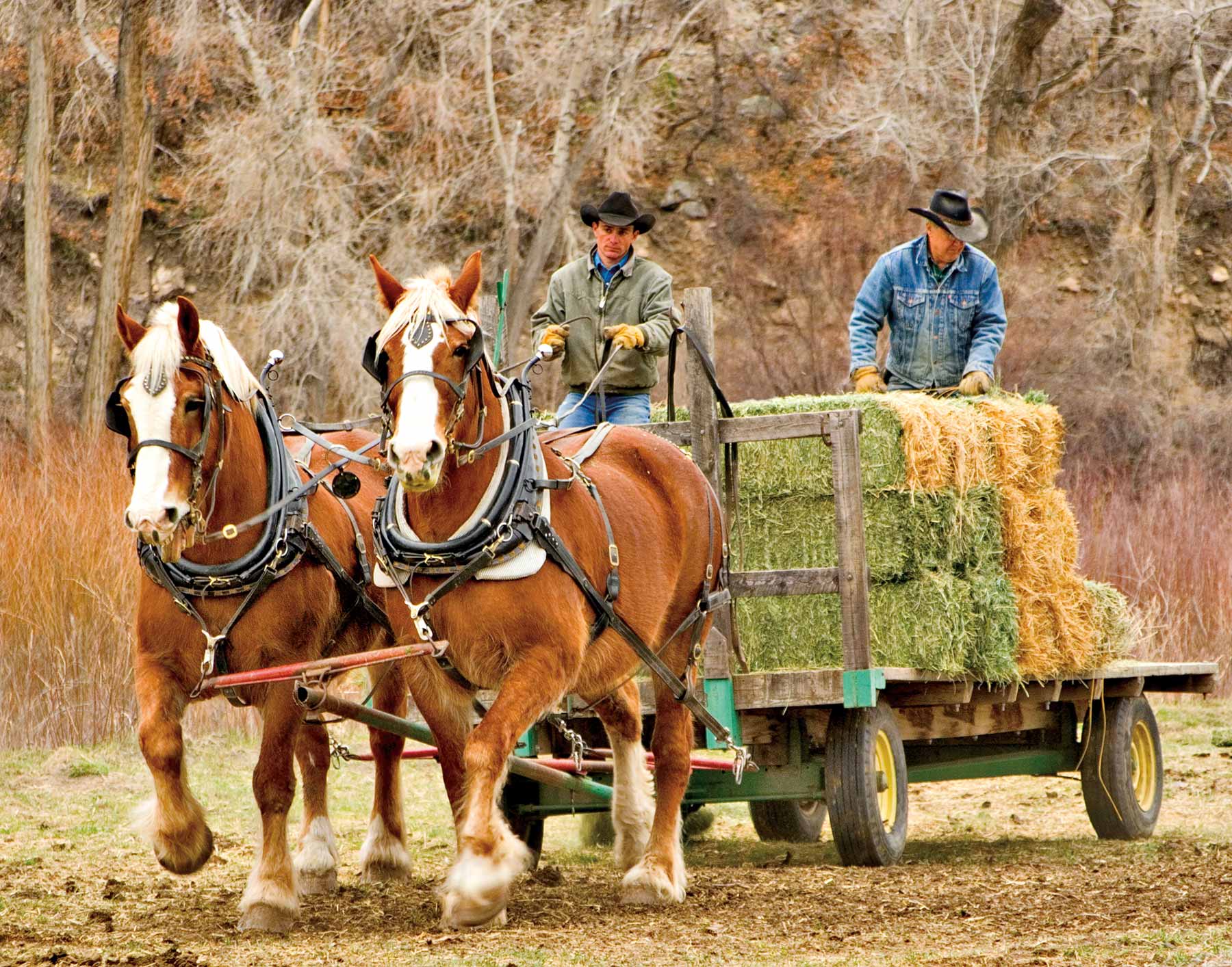 Centennial Ranch property picture 52 of 147