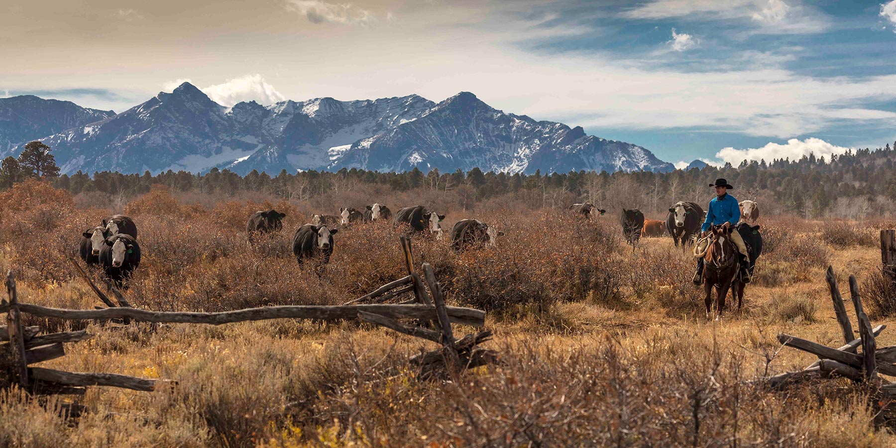 Centennial Ranch property picture 63 of 147