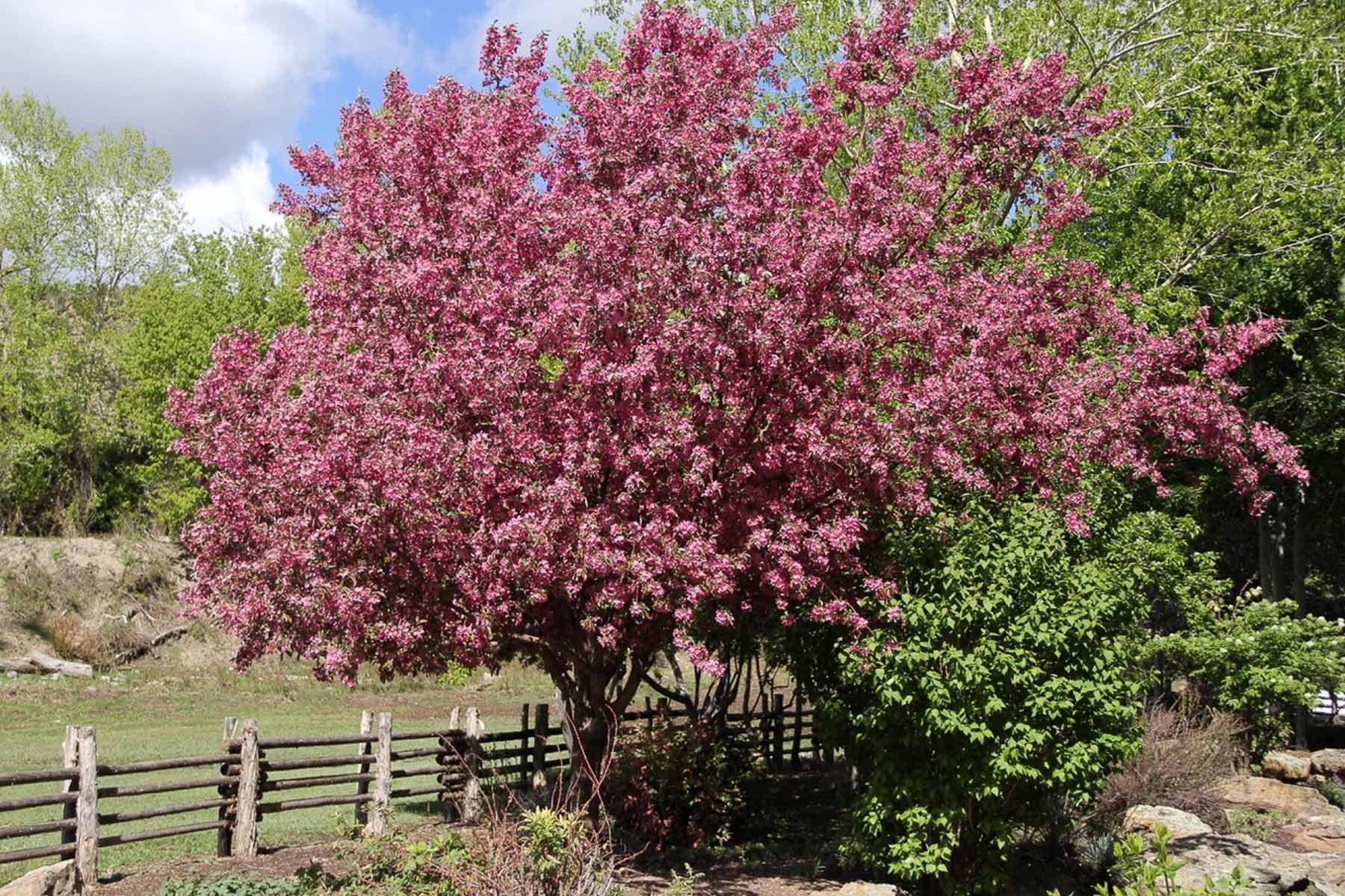 Centennial Ranch property picture 142 of 147