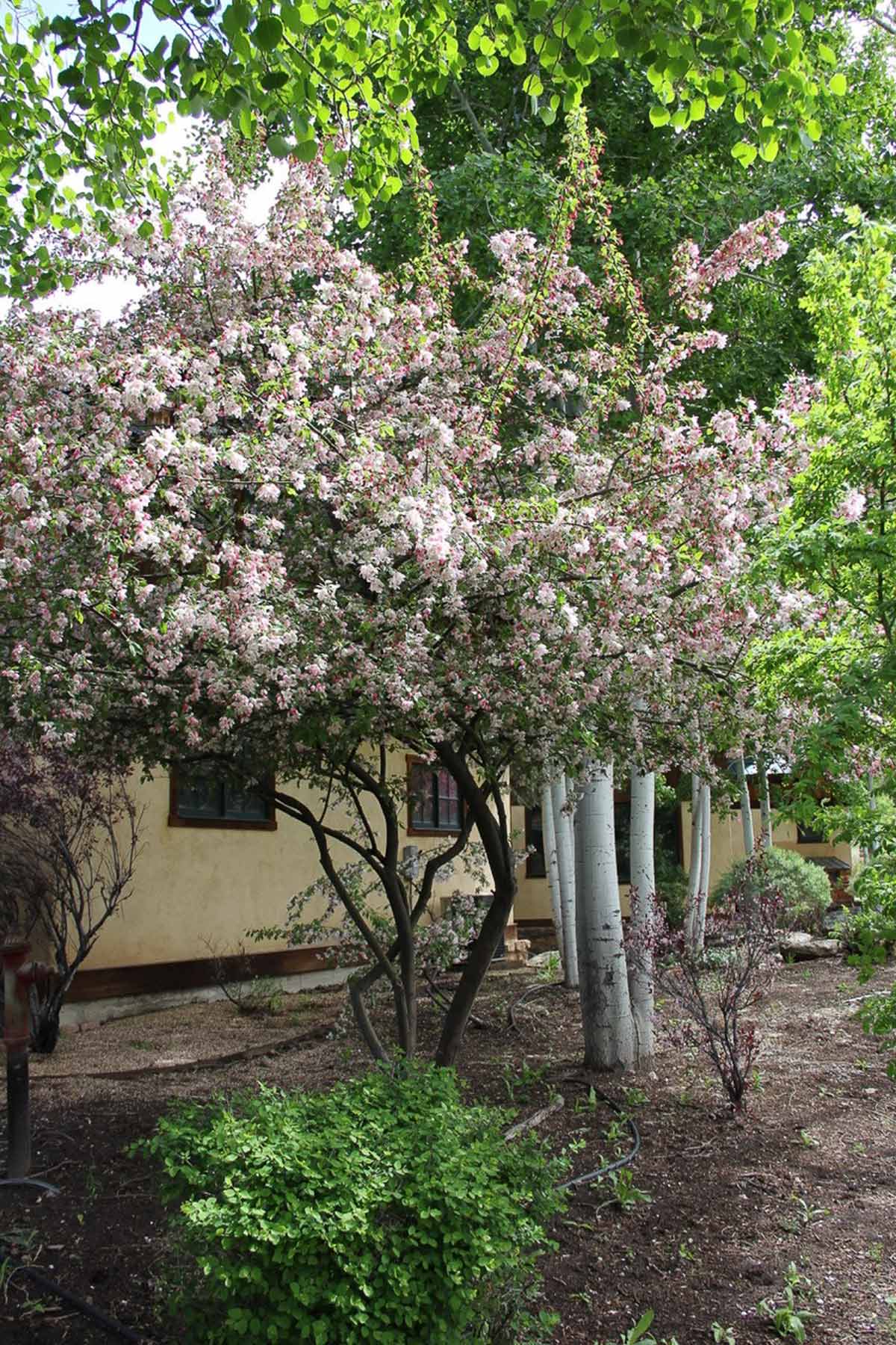 Centennial Ranch property picture 138 of 147