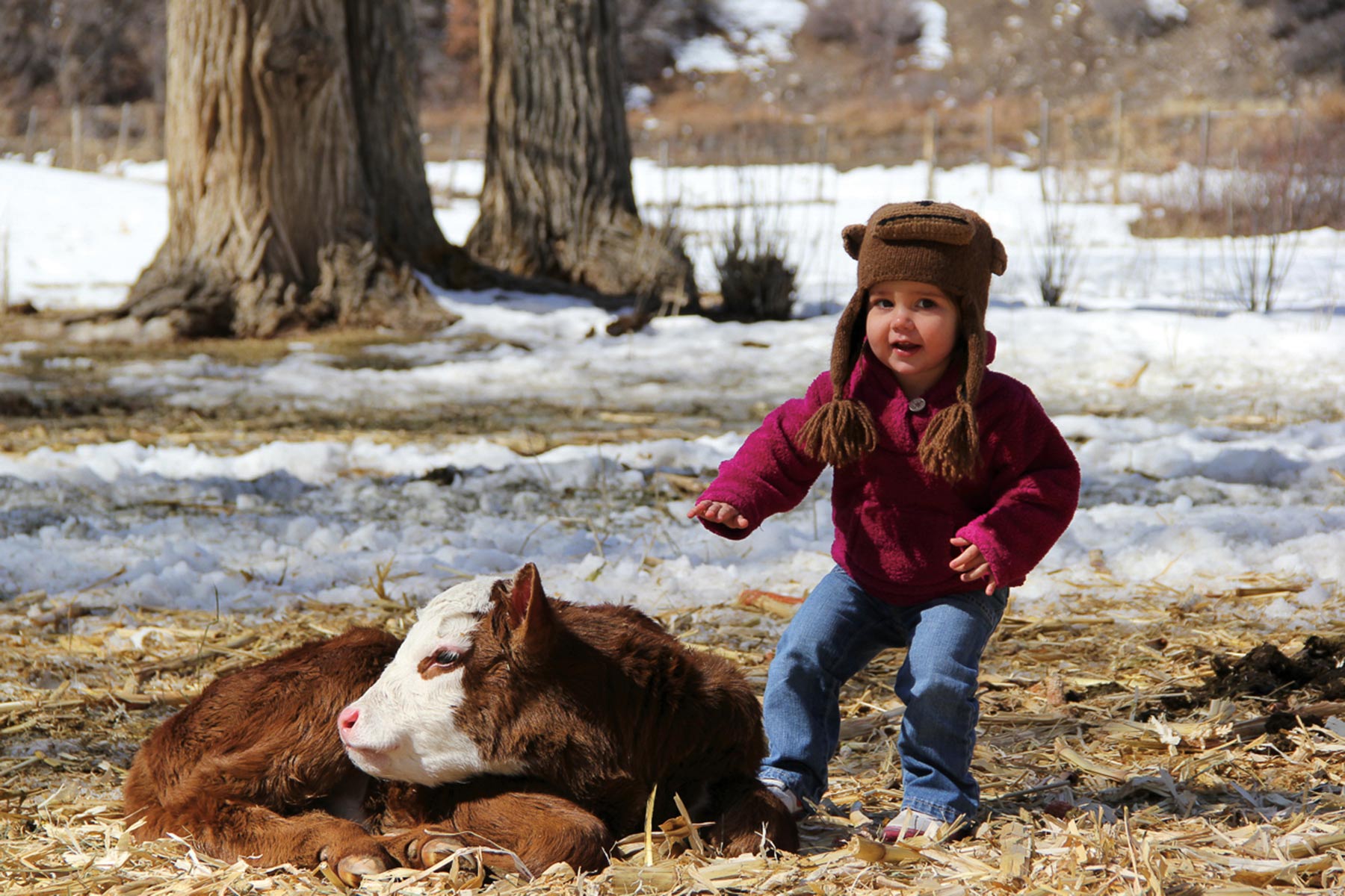 Centennial Ranch property picture 122 of 147