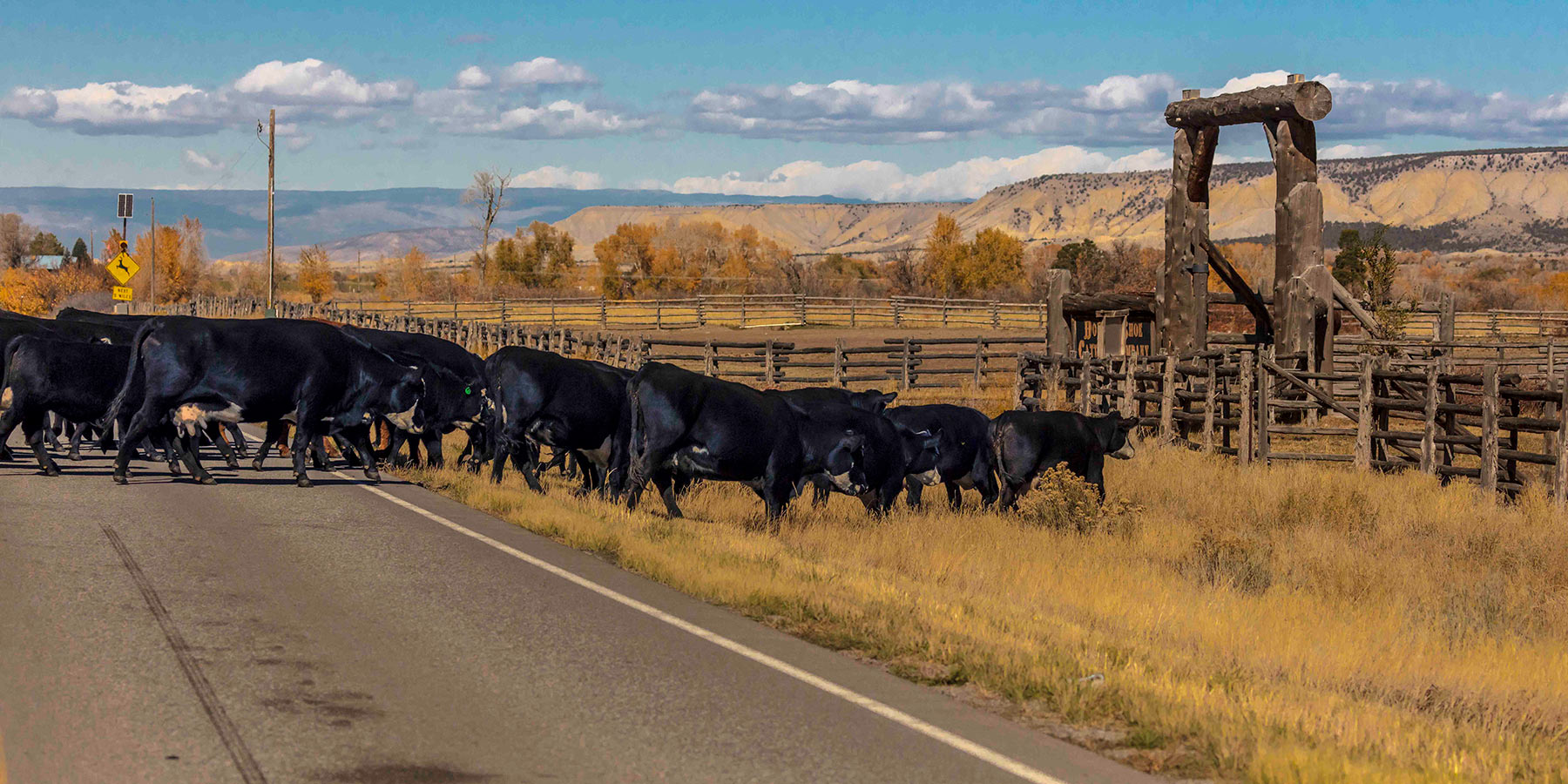 Centennial Ranch property picture 67 of 147