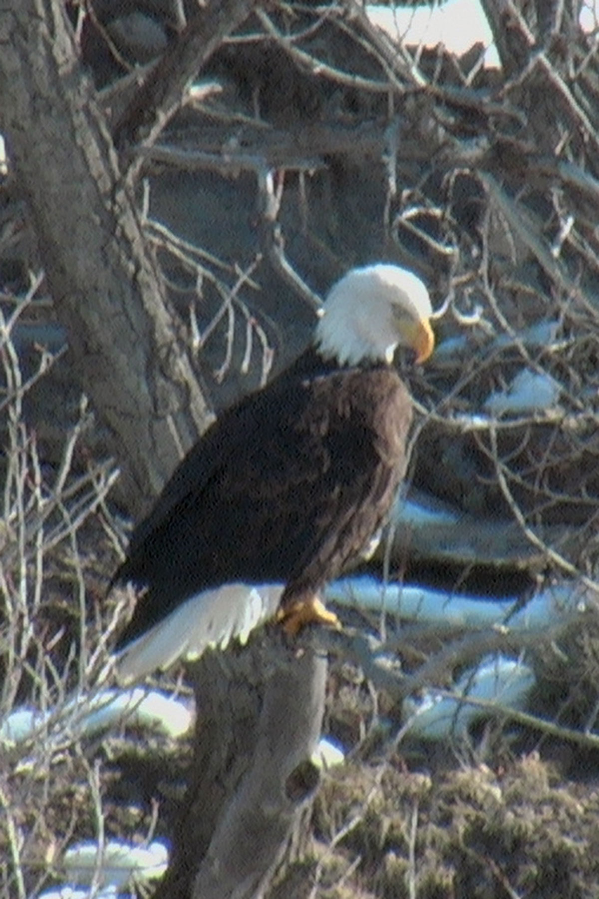 Centennial Ranch property picture 105 of 147