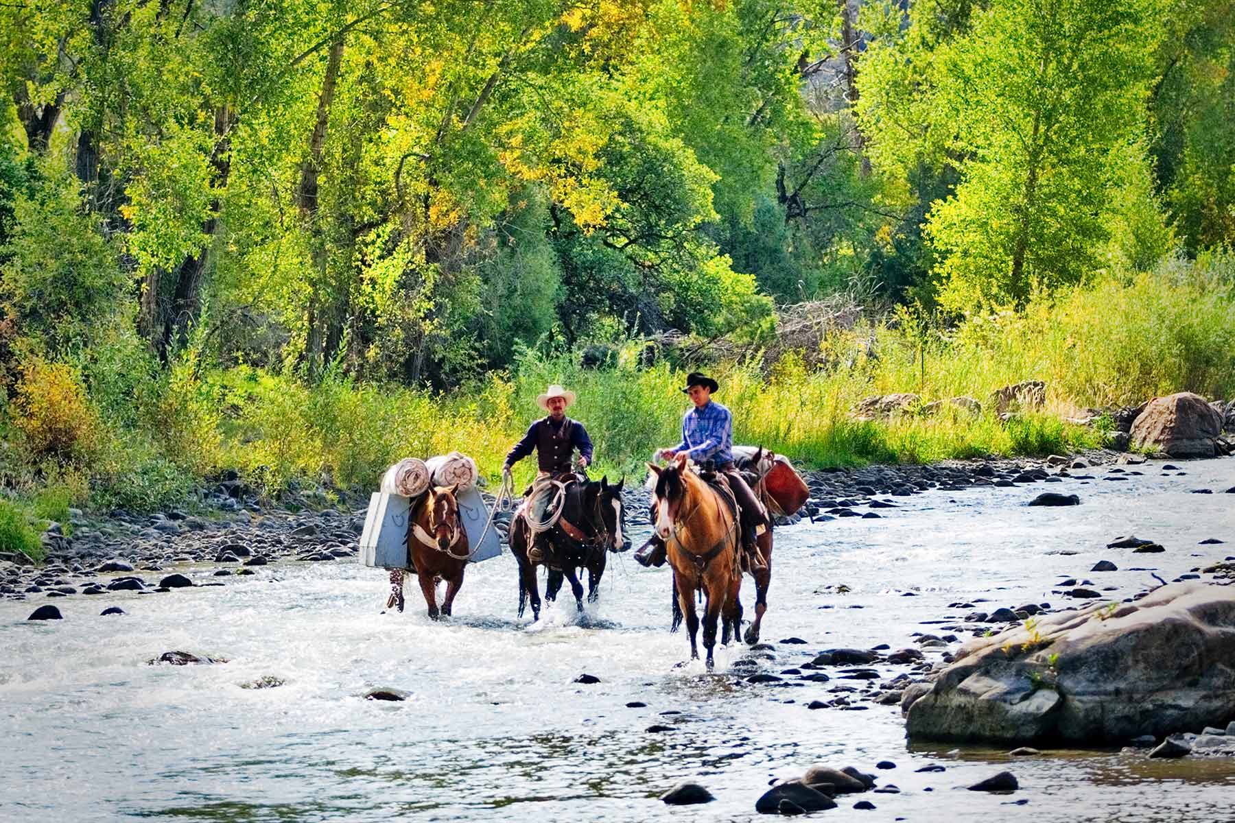 Centennial Ranch property picture 72 of 147