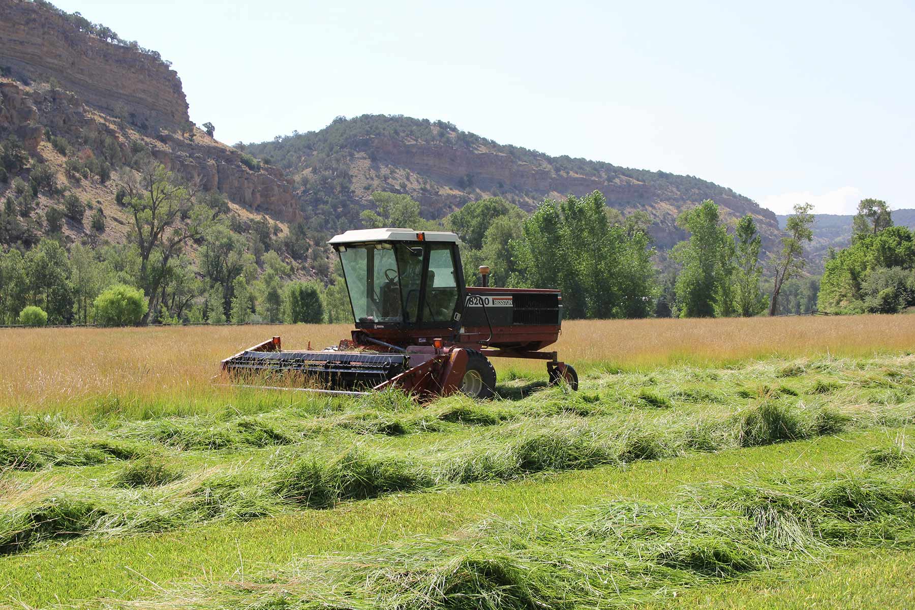 Centennial Ranch property picture 130 of 147