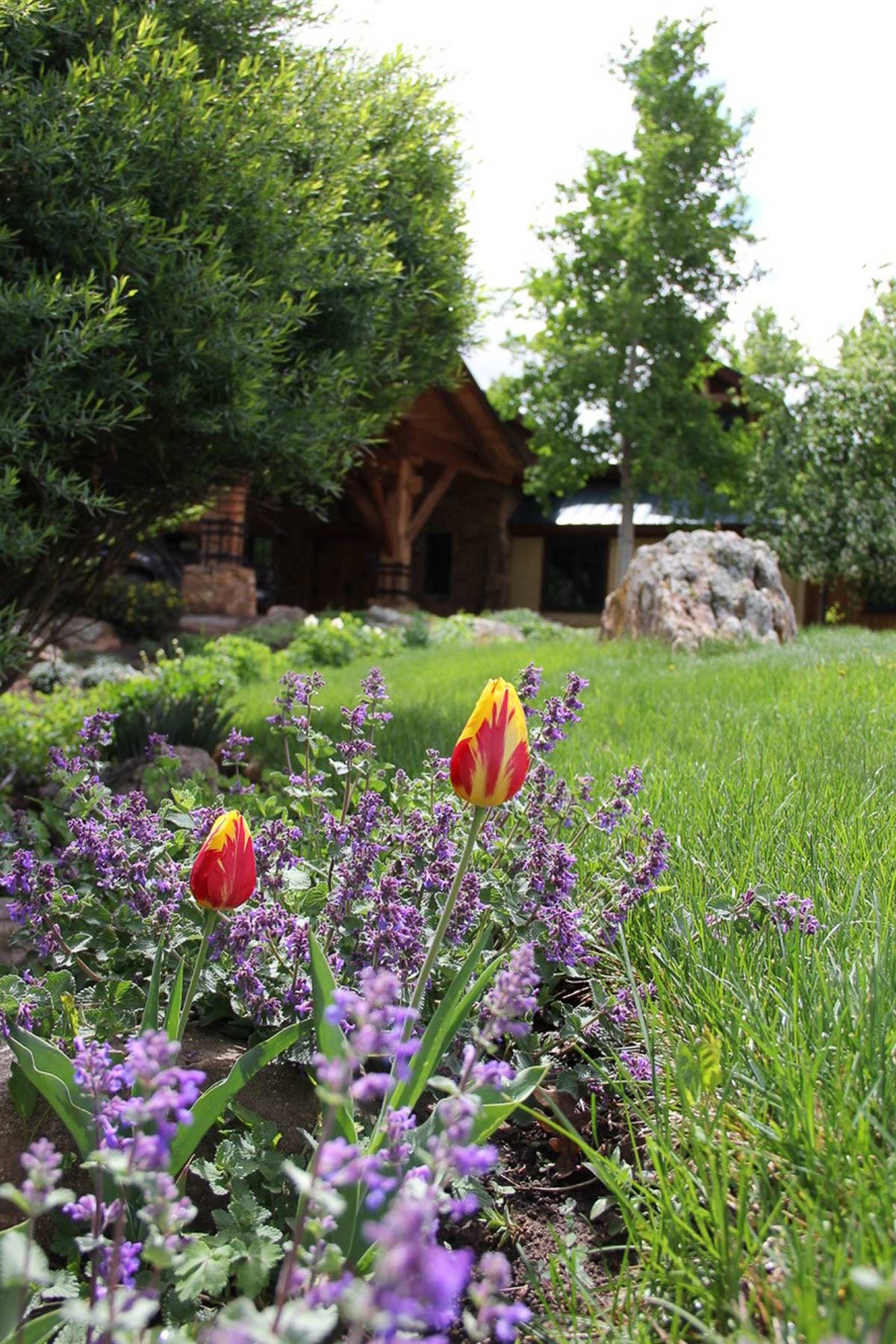 Centennial Ranch property picture 141 of 147