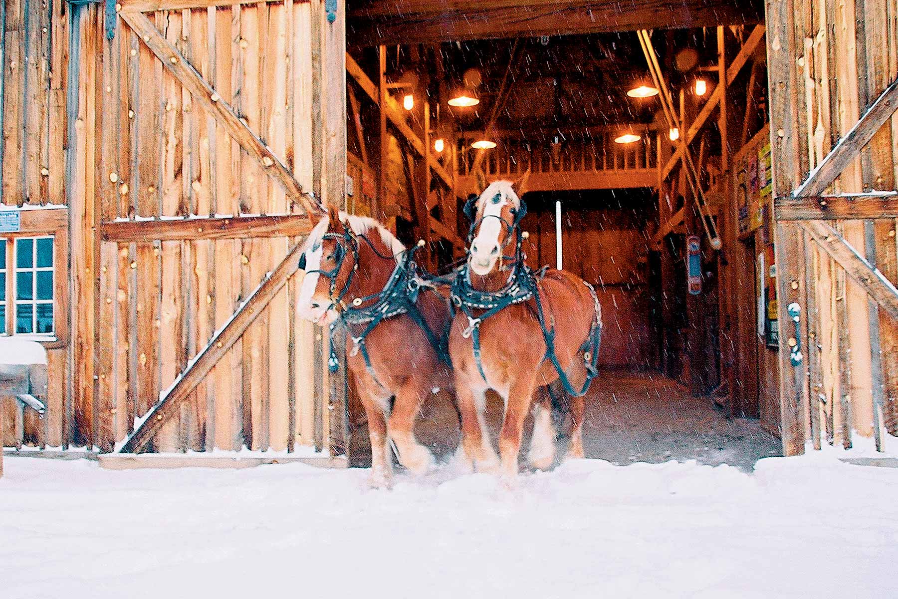 Centennial Ranch property picture 46 of 147