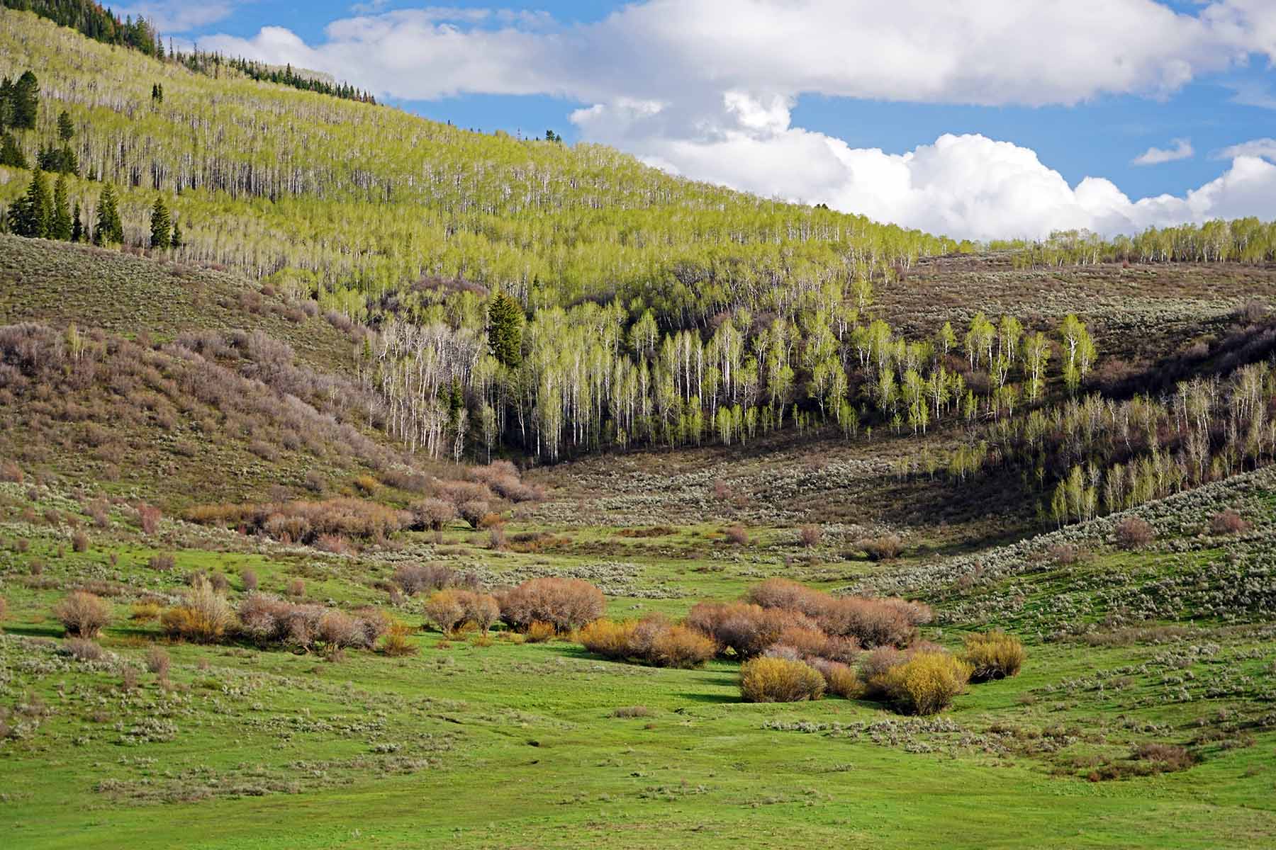 Stetson Ranch property picture 41 of 67