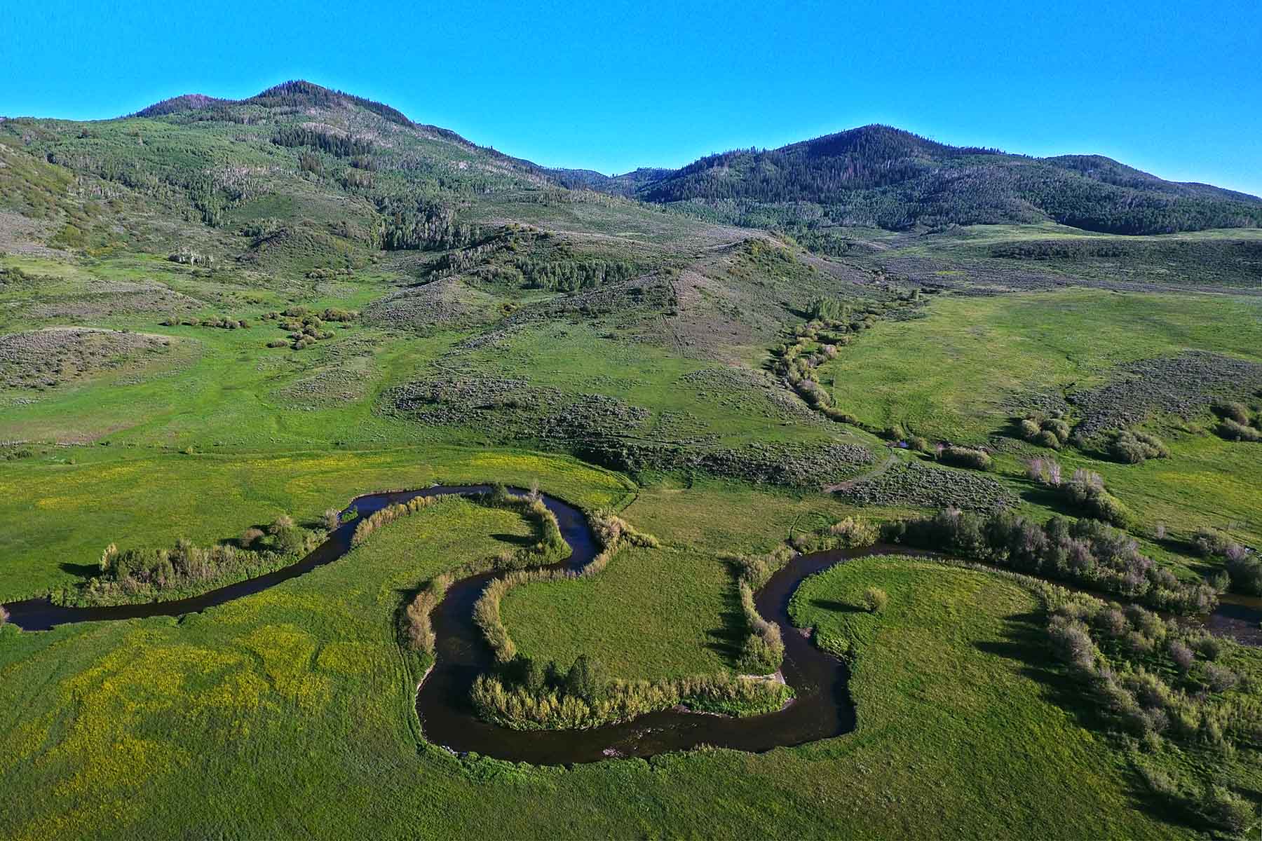 Stetson Ranch property picture 30 of 67