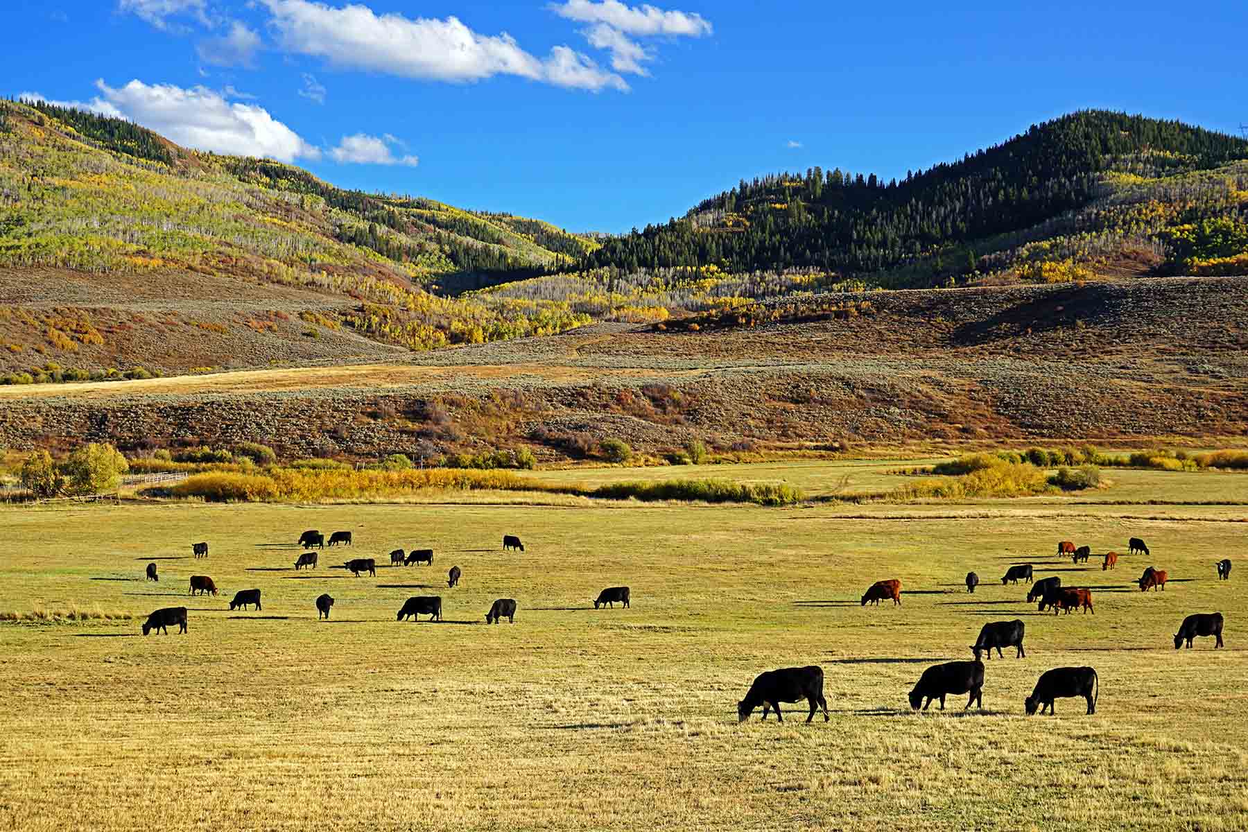 Stetson Ranch property picture 15 of 67