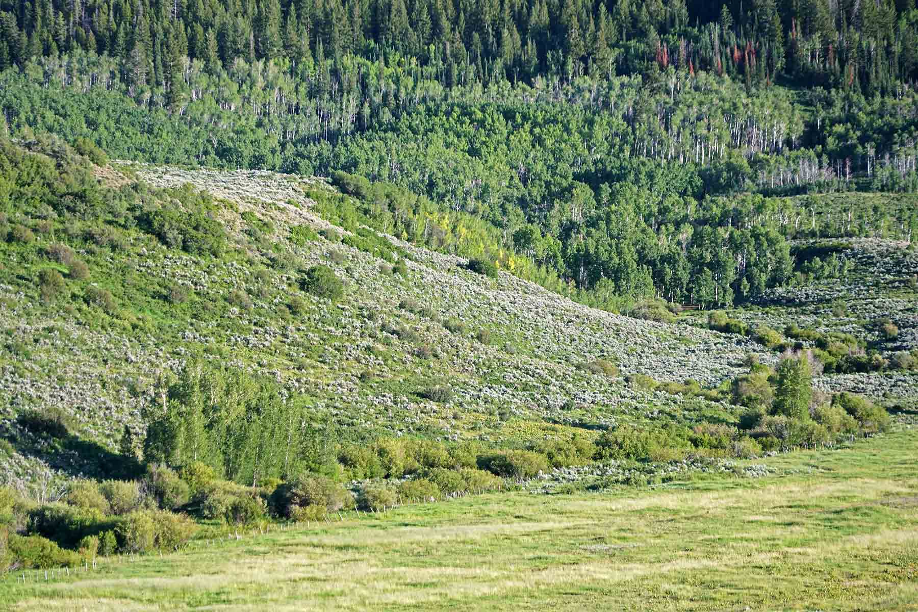 Stetson Ranch property picture 32 of 67