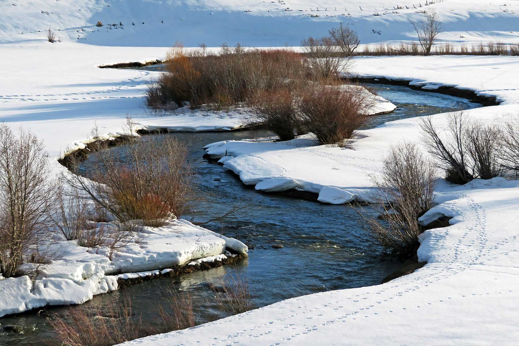 Stetson Ranch property picture 66 of 67
