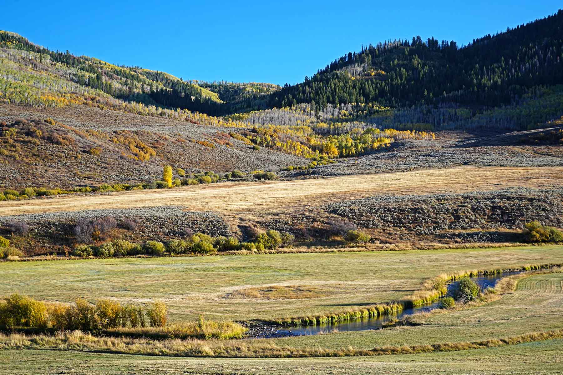 Stetson Ranch Sold Colorado Hall and Hall