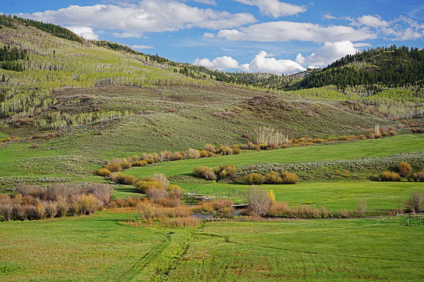 Stetson Ranch property picture 38 of 67