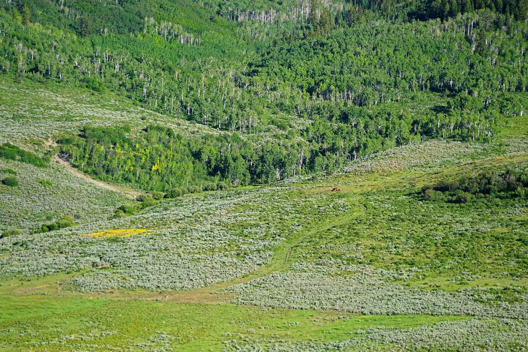 Stetson Ranch property picture 19 of 67