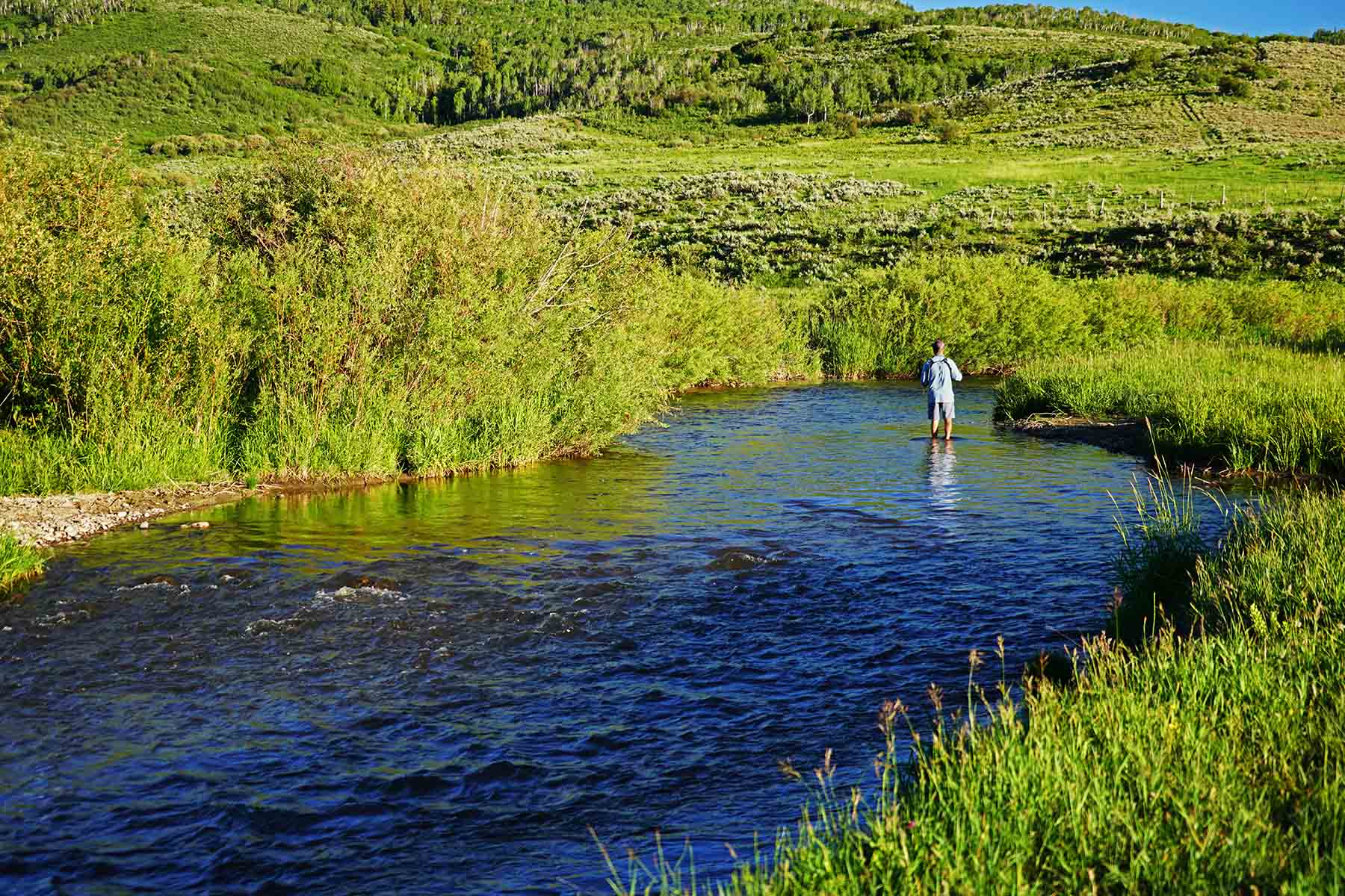 Stetson Ranch property picture 12 of 67