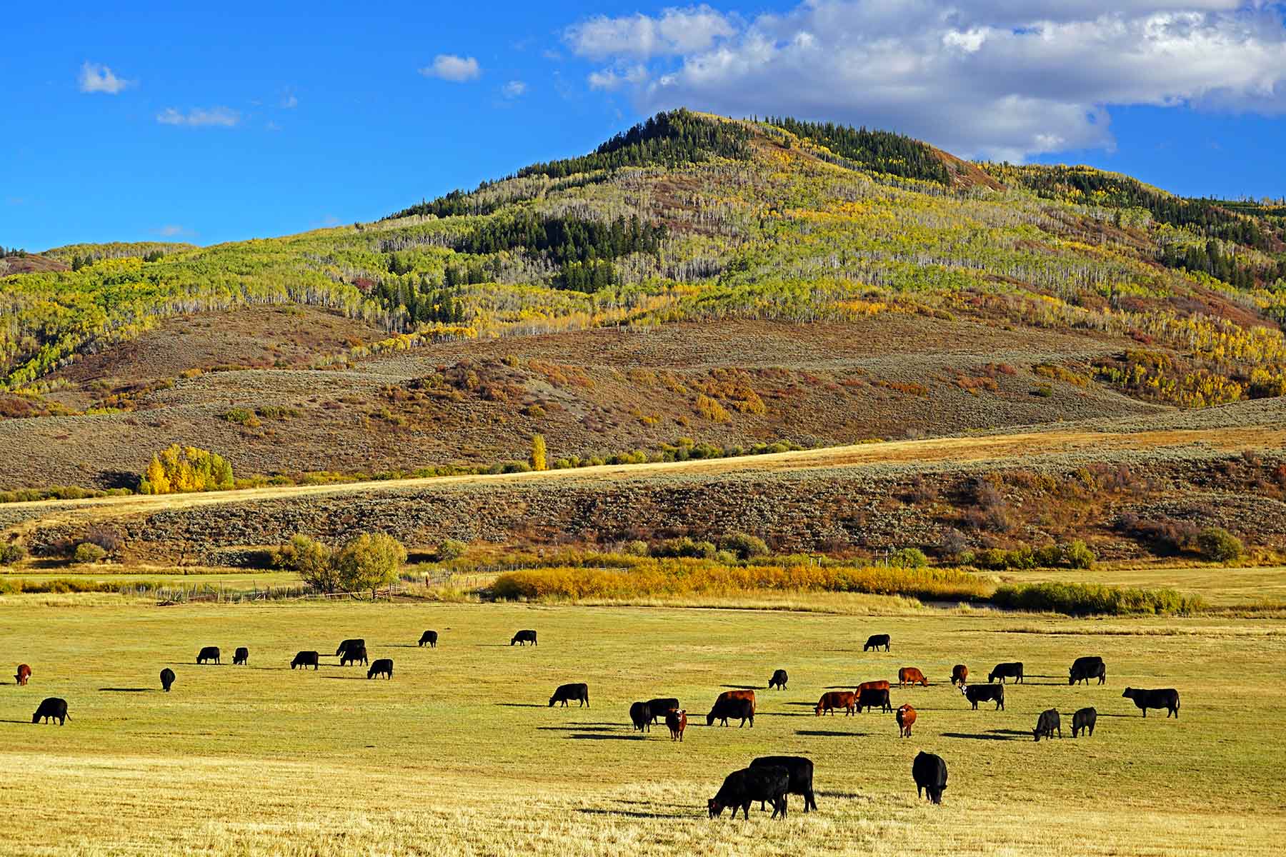 Stetson Ranch property picture 28 of 67