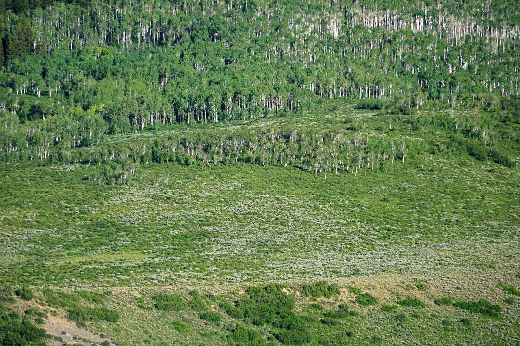 Stetson Ranch property picture 24 of 67