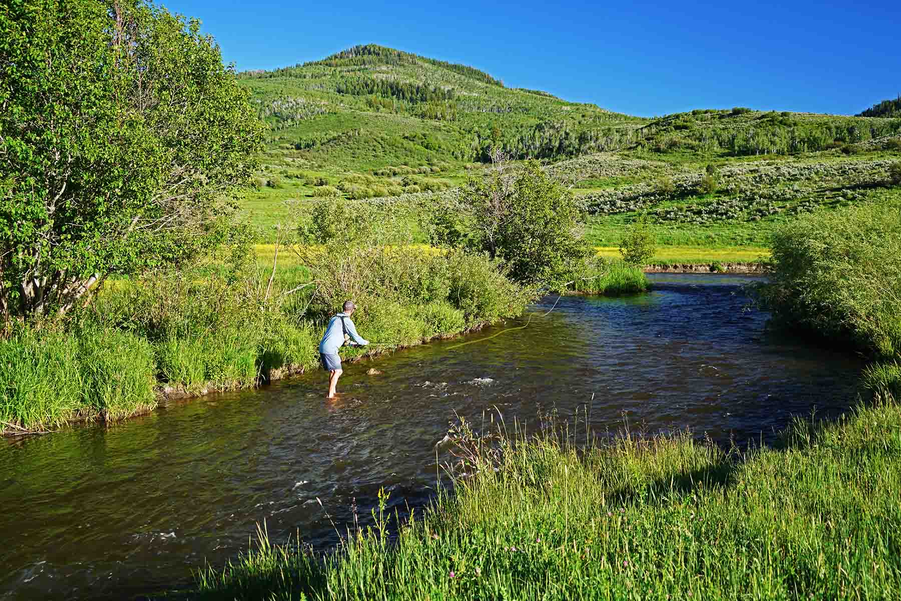Stetson Ranch property picture 9 of 67