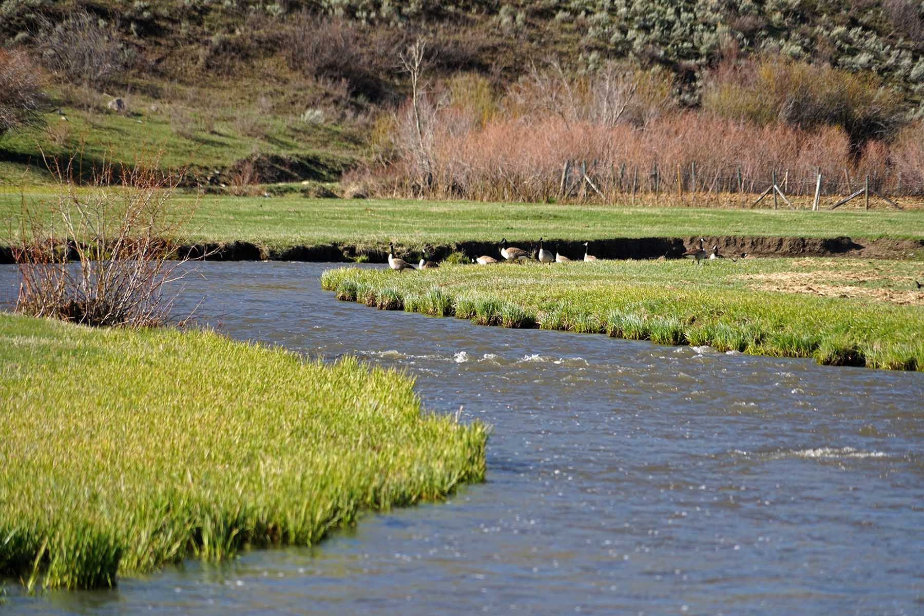 Stetson Ranch property picture 53 of 67