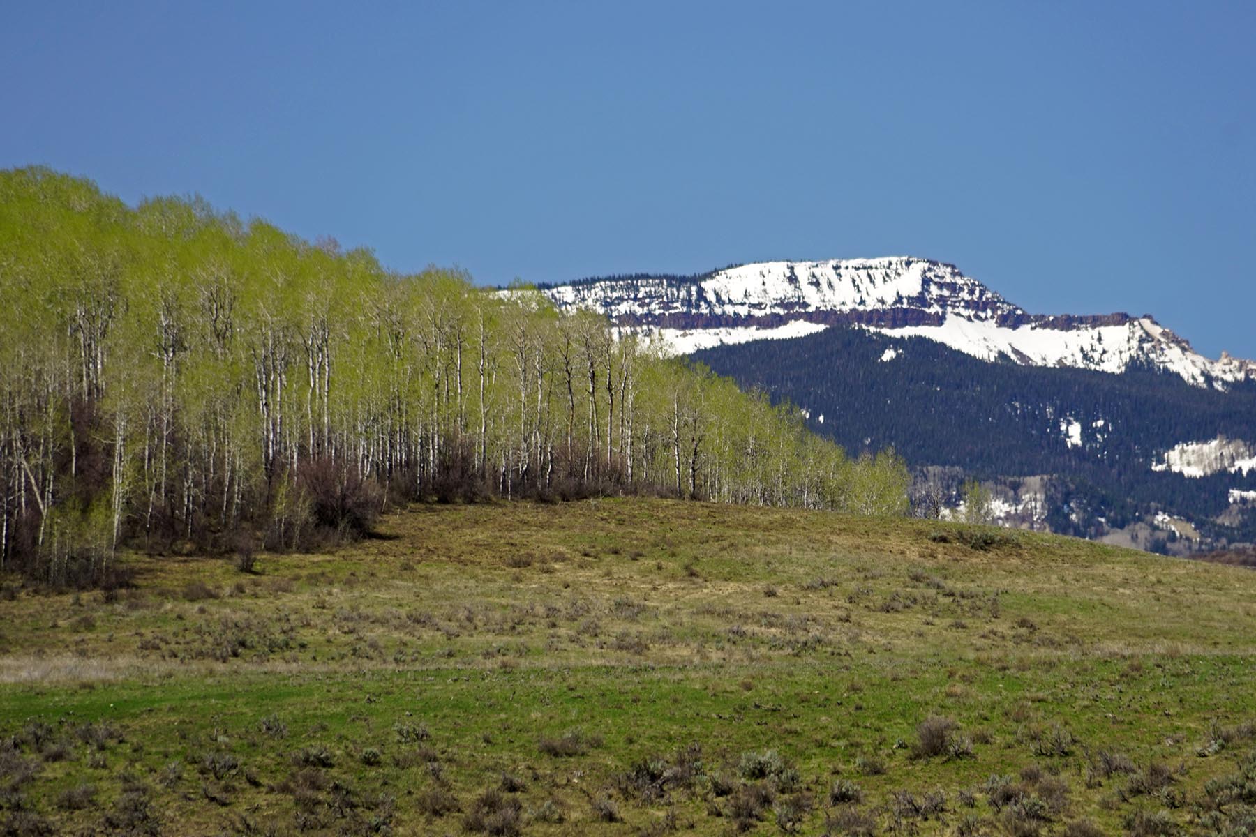 Stetson Ranch property picture 52 of 67