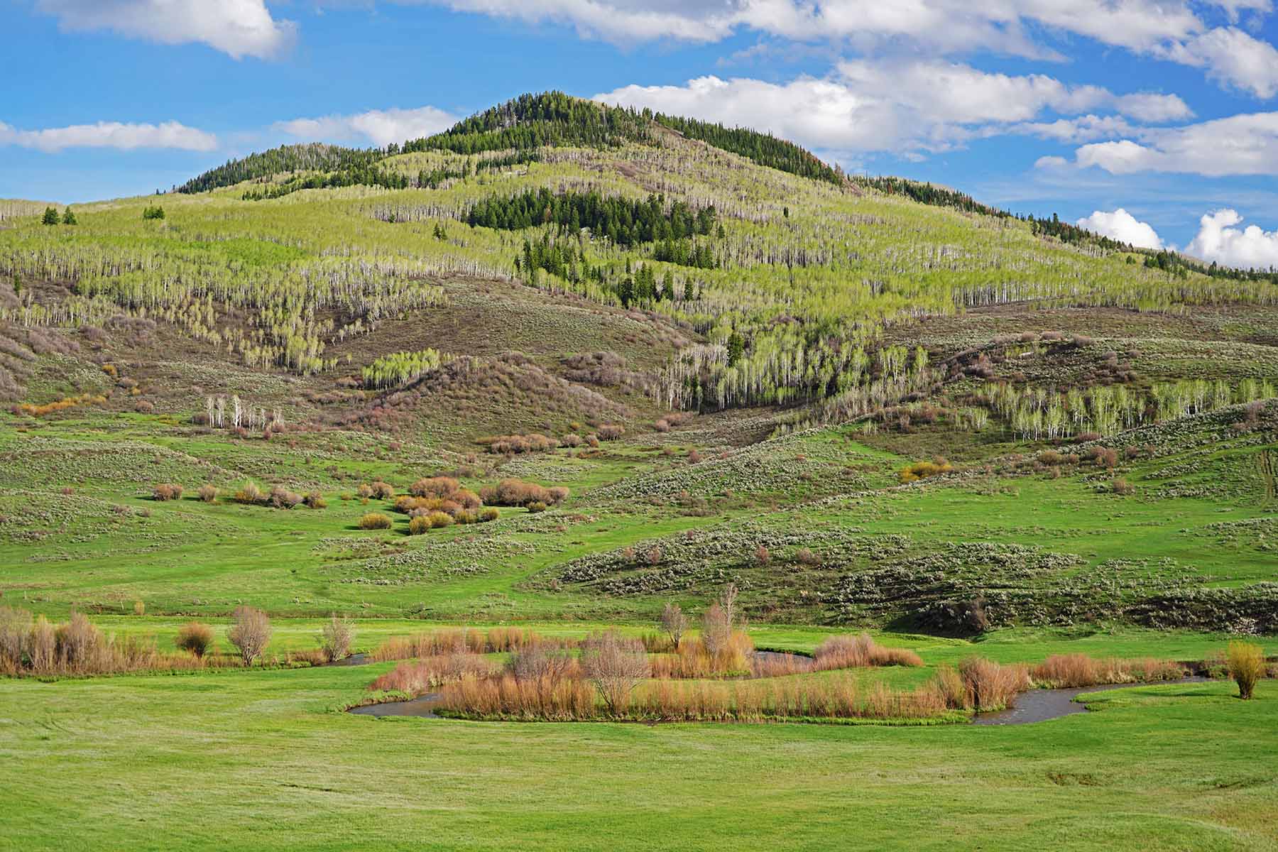 Stetson Ranch property picture 46 of 67