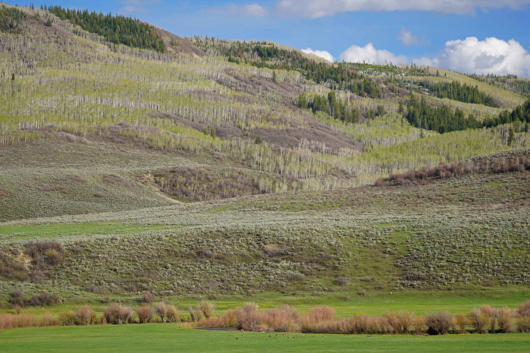 Stetson Ranch property picture 55 of 67