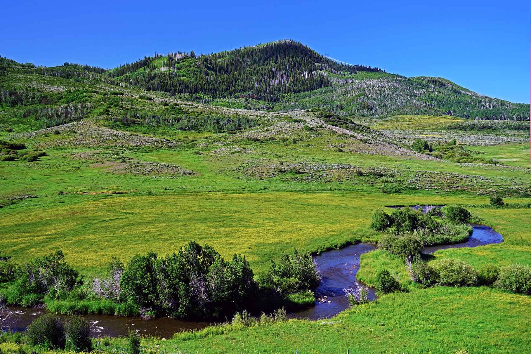 Stetson Ranch property picture 18 of 67