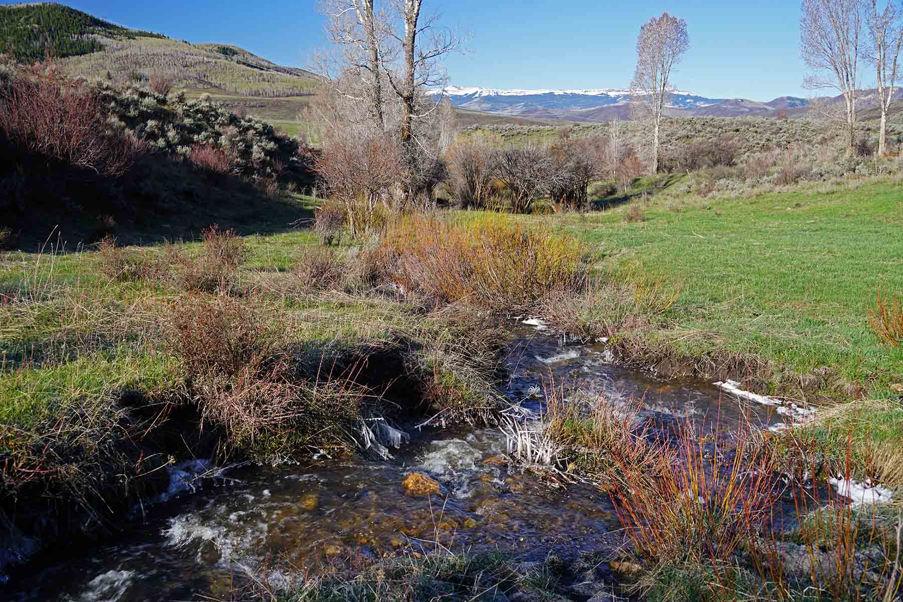 Stetson Ranch property picture 59 of 67